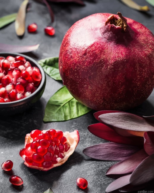Pomegranate Photography Paint By Numbers.png