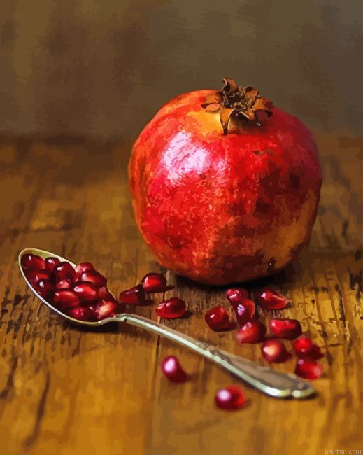 Pomegranate Still Life Photography Paint By Numbers.png