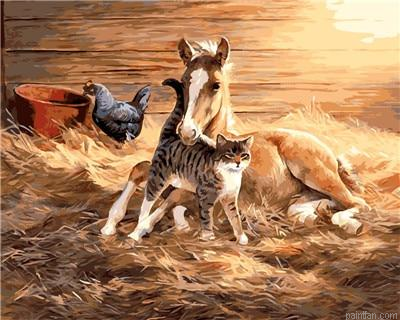Pony Horse Paint By Numbers.png