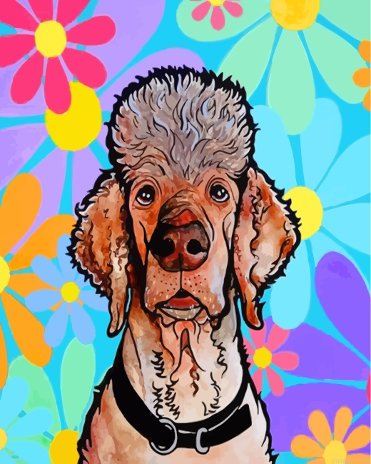 Poodle Art Paint By Number.png
