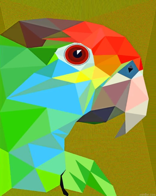 Pop Art Parrot New Paint By Numbers.png