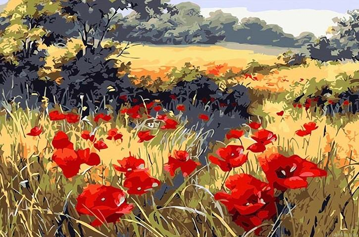 Poppy Flowers Paint By Numbers.png