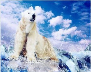 Powerful Polar Bear Animals Paint By Numbers.png