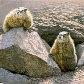 Prairie Dogs Paint By Numbers.png