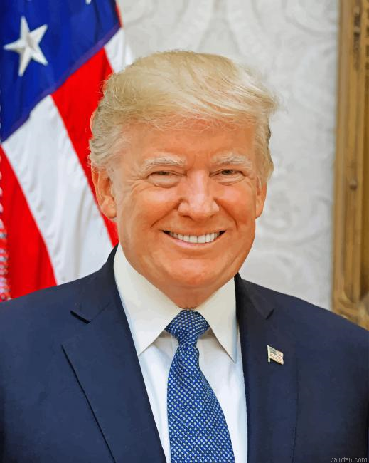 President Trump Paint By Numbers.png