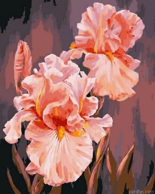 Pretty Flower Paint By Numbers.png