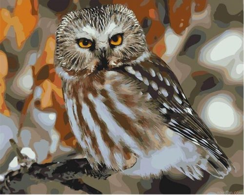 Pretty Owl Paint By Numbers.png