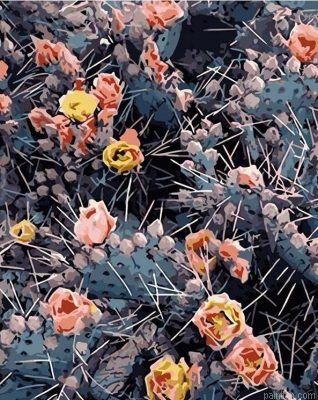 Prickly Blooms Paint By Numbers.png