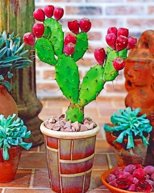Prickly Pear Cactus Plant Paint By Numbers.png