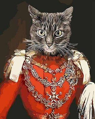 Prince Cat Paint By Numbers.png