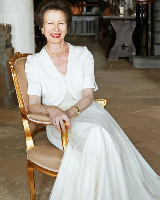 Princess Anne Paint By Numbers.png