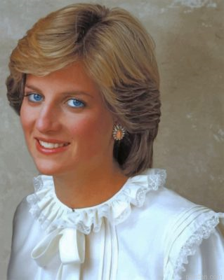 Princess Diana Paint By Number.png