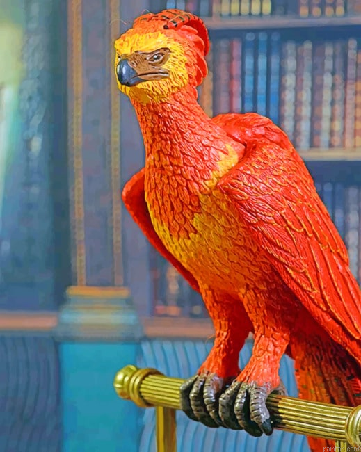 Professor Albus Bird Paint By Numbers.png
