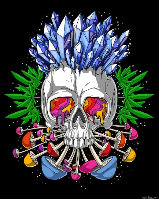 Psychedelic Skull Paint By Number.png