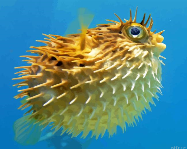 Puffer Fish Paint By Numbers.png