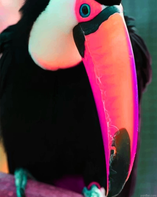 Puffin Paint By Number.png