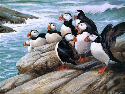 Puffins On Rock Paint By Numbers.png