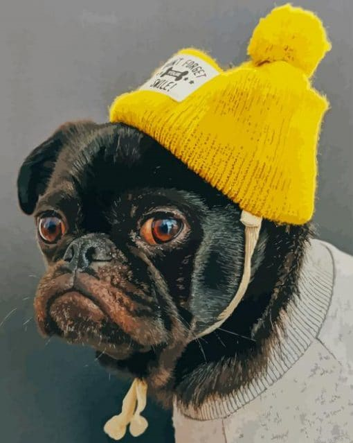 Pug With Yellow Hat Paint By Number.png