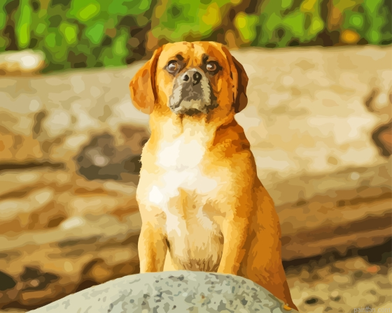 Puggle Art Paint By Numbers.png