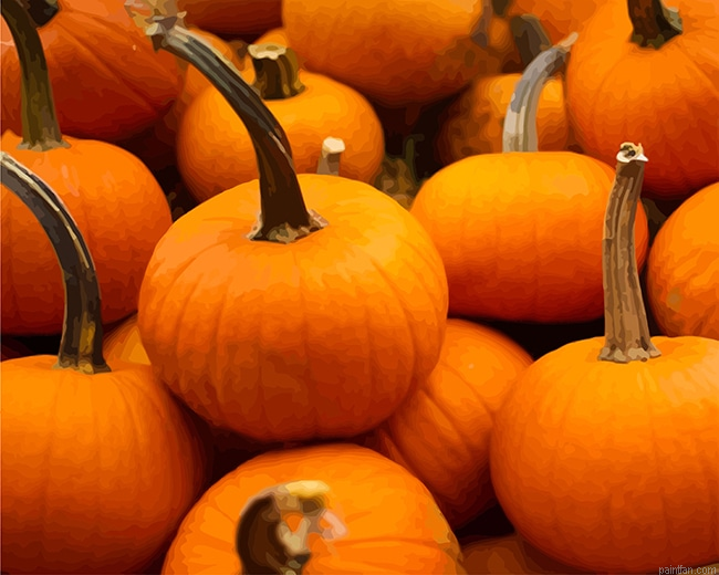 Pumpkin New Paint By Numbers.png