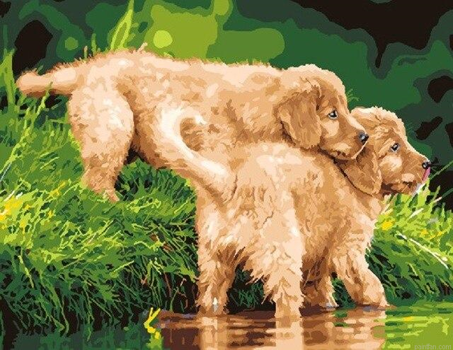 Puppies In River Paint By Numbers.png