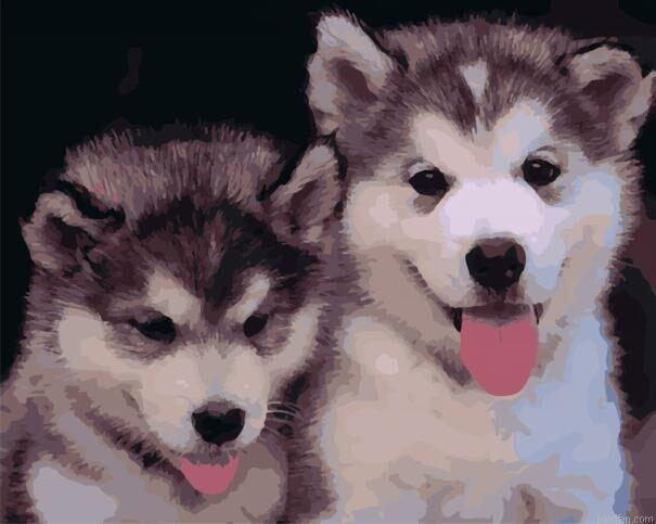 Puppies Of Husky Paint By Numbers.png
