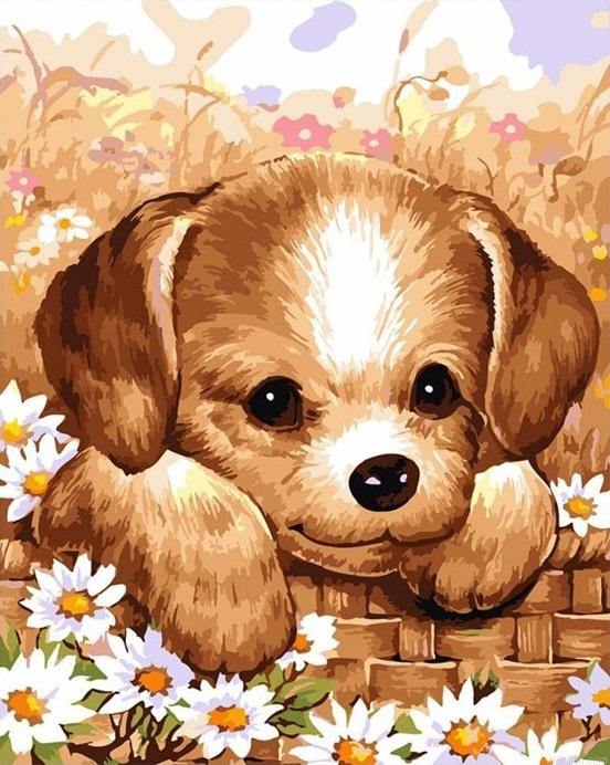 Puppy Animals Paint By Numbers.png