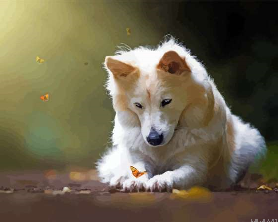 Puppy Butterfly Paint By Numbers.png