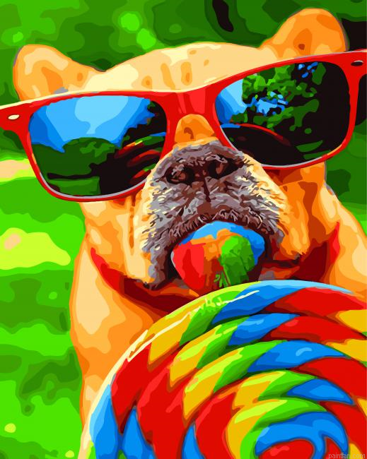 Puppy Licking A Lollipop Paint By Number.png