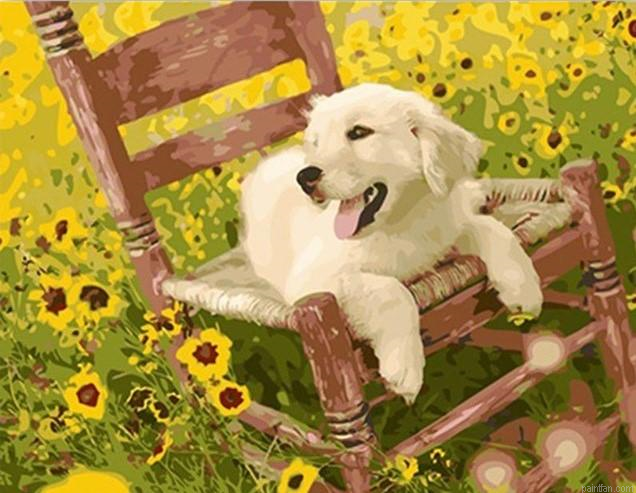Puppy On Chair Paint By Numbers.png