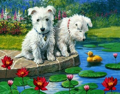 Pups On Lake Paint By Numbers.png