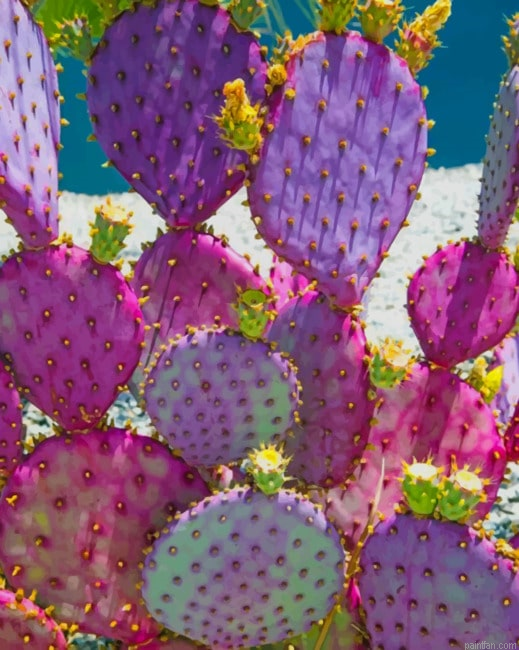 Purple Cactus New Paint By Numbers.png