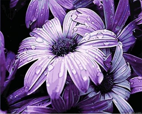 Purple Dew Paint By Numbers.png