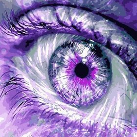 Purple Eyes Paint By Numbers.png