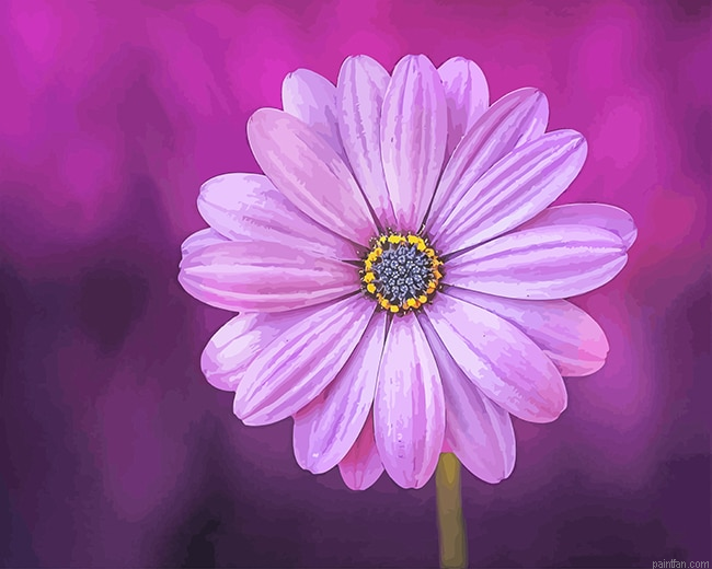 Purple Flower New Paint By Numbers.png