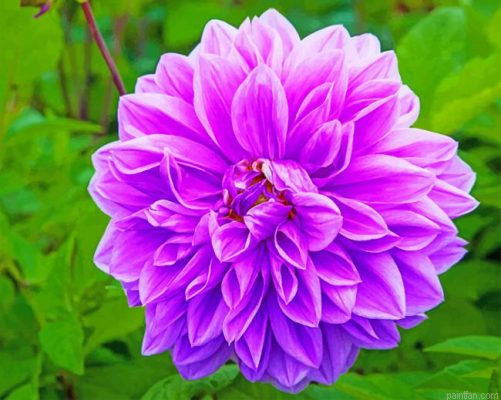 Purple Lilac Flower Paint By Number.png