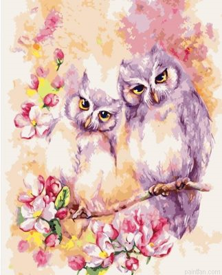 Purple Owls Paint By Numbers.png