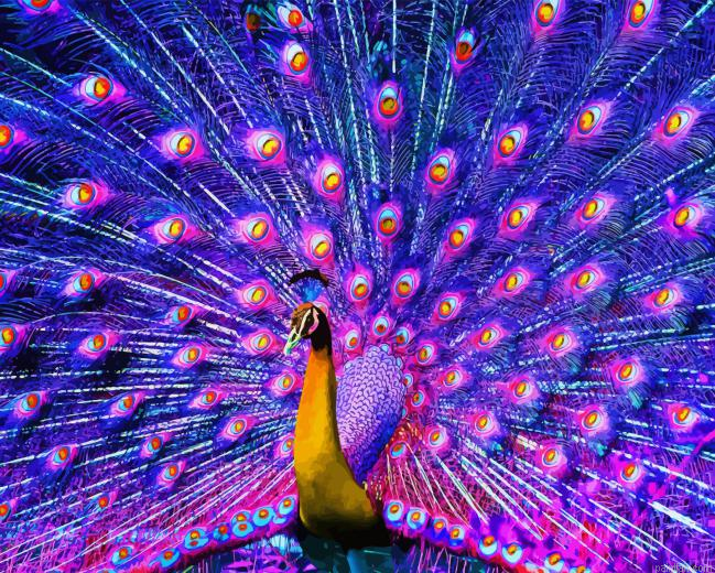 Purple Peacock Paint By Numbers.png