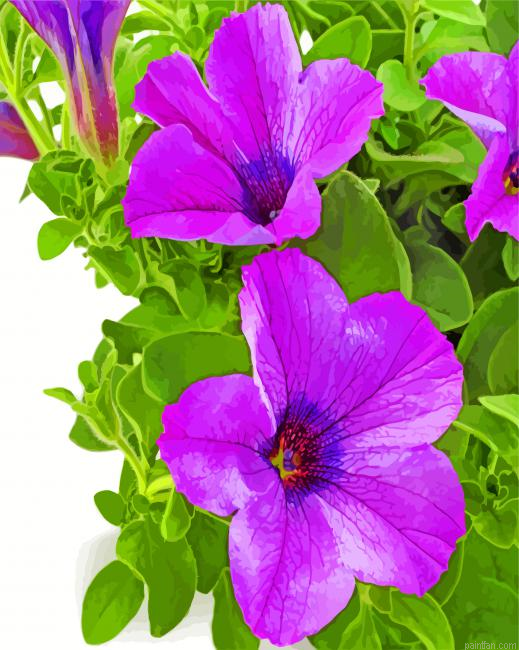 Purple Petunia Paint By Number.png