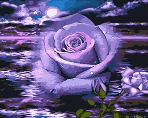 Purple Rose Paint By Numbers.png