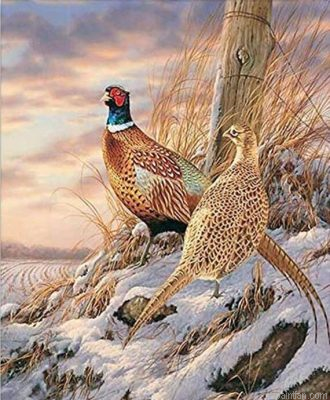 Quail In Snow Paint By Numbers.png