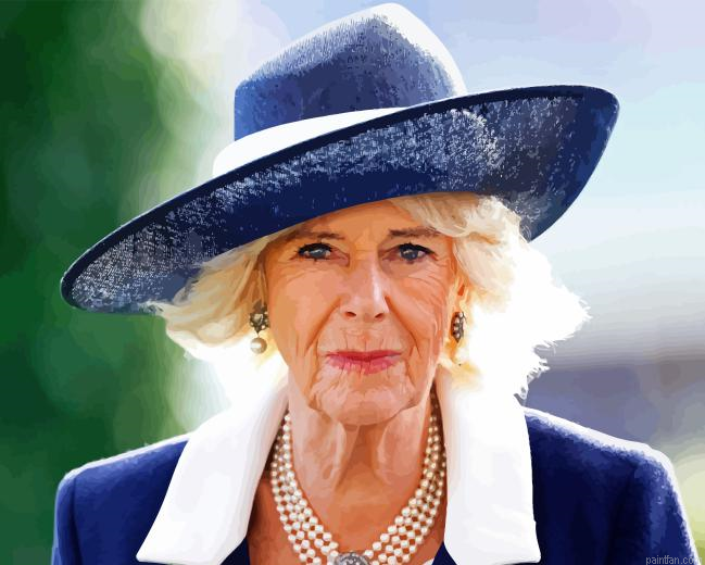Queen Camilla Paint By Numbers.png
