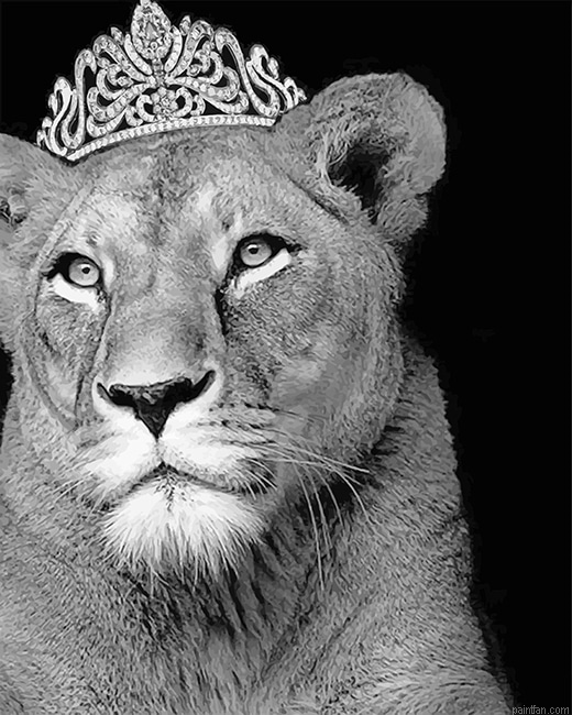 Queen Lioness New Paint By Numbers.png