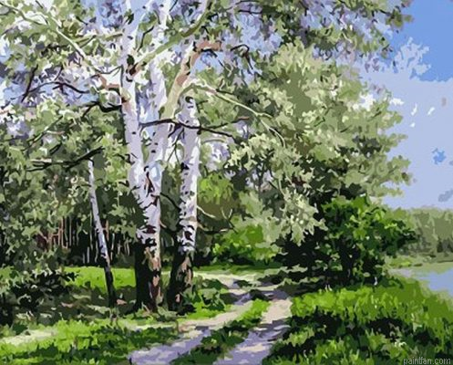 Quiet Forest Paint By Numbers.png