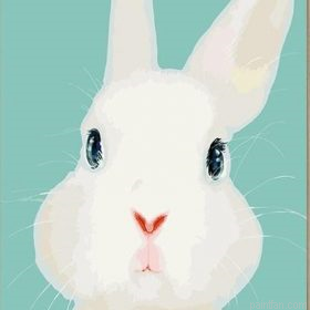 Rabbit Art Paint By Numbers.png
