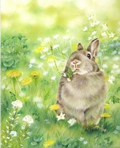 Rabbit In Grass Paint By Numbers.png