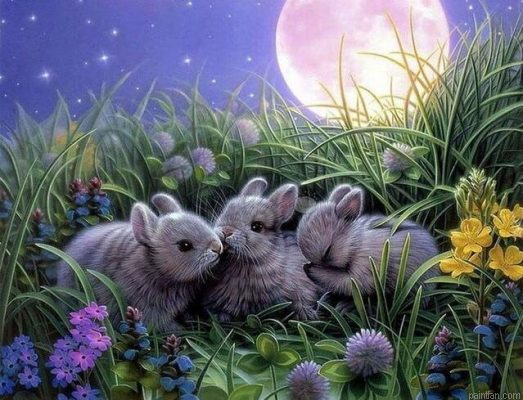 Rabbits In Wild Paint By Numbers.png