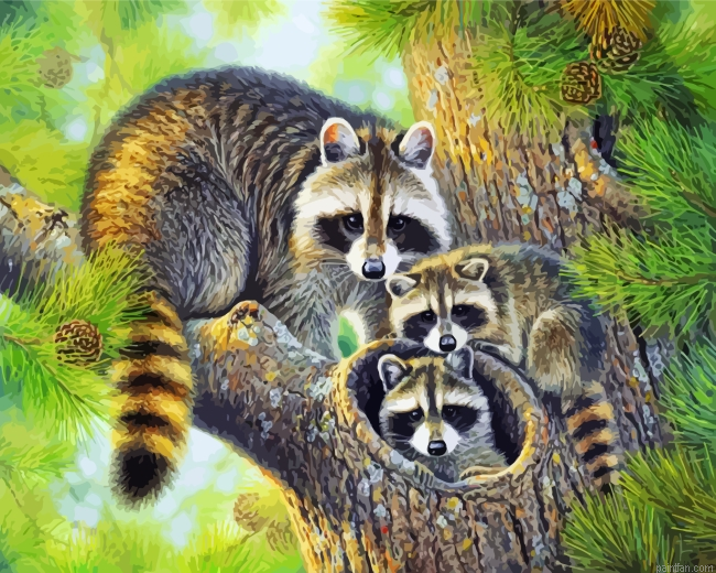 Raccoon Family Paint By Number.png