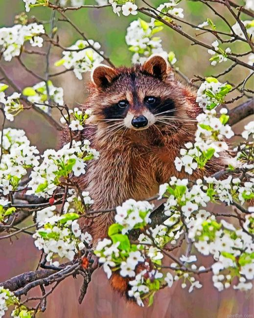 Raccoon In Blossoms Paint By Number.png
