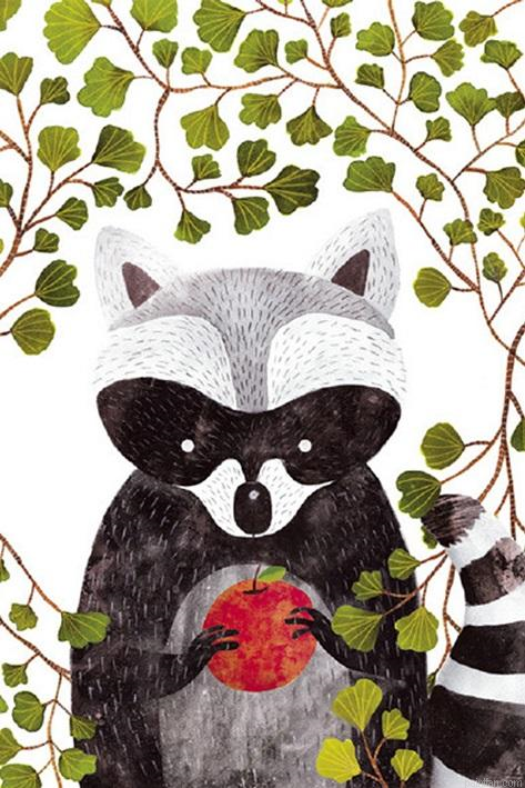 Raccoon And Apples Paint By Numbers.png